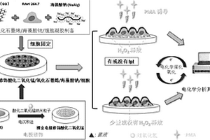 细胞传感器、其制备方法以及利用该细胞传感器评价抗氧化能力的方法