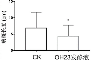 吡啶甲酸在制备防治黄单胞菌病害的生物农药上的应用