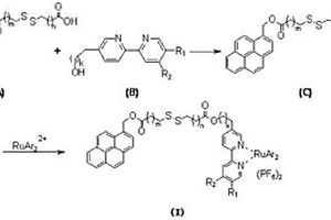 二硫醚双发色团类化合物及其合成方法和应用