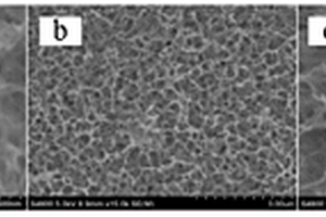 TiO2纳米网络薄膜电极材料的制备方法及其应用