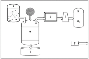 高氯酸盐生物转化及原位制氧系统与方法