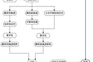 酶的预测方法、装置及存储介质