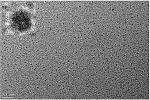 荧光碳纳米颗粒及其制备方法与应用