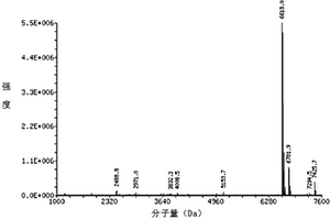 多西紫杉醇的核酸适配体、核酸适配体衍生物及其用途