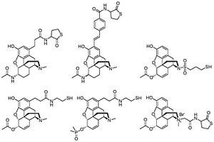 6-单乙酰吗啡类似物的合成和使用方法