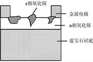 日盲光电探测器及其制备方法