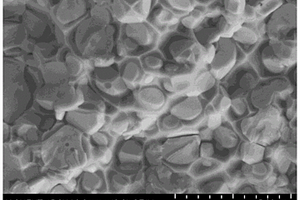 稀土氧化物强化钨铜基复合材料的制备方法