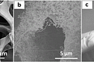 石墨烯/碳纳米管网络柔性多功能应变传感器的制备方法