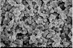 水溶性阳离子型共轭微孔聚合物磷光探针及其制备方法