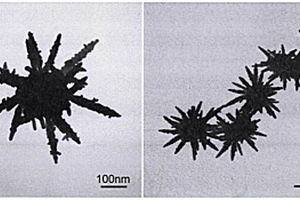 磁性银花纳米颗粒的结构及制备方法