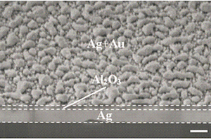 超吸收Ag-Au纳米结构表面复合薄膜及其制备方法