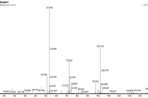 高纯度西红花苷I的提纯方法和应用