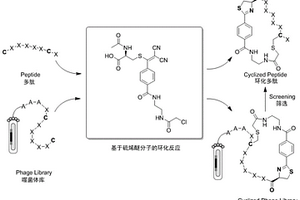 硫烯醚化合物及其合成方法和在多肽环化中的应用