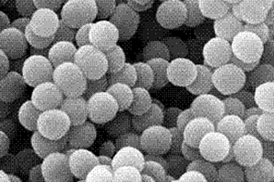 有机无机复合荧光微球制备方法