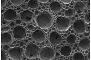 导电性莲蓬形微孔发泡功能薄膜及其制备方法