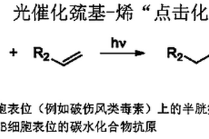 作为治疗工具的精确糖缀合物