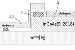 太赫兹波探测器及其制备方法