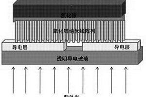 氧化锌纳米线阵列紫外光电探测器的制备方法