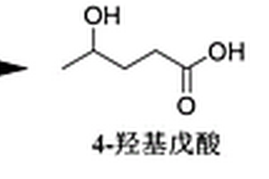 催化剂及其该催化剂的应用、制备、性能测试方法