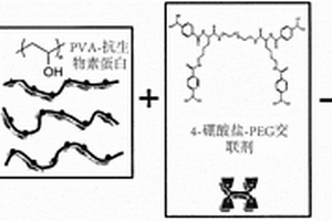 用于测量细胞机械应力的组合物和方法