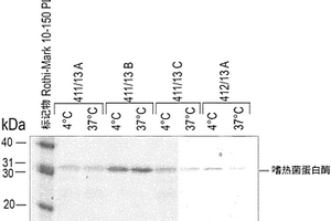 HbA1c的酶促测定