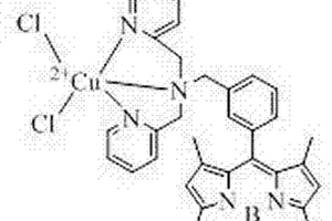 硫氢根离子的荧光探针及其合成方法