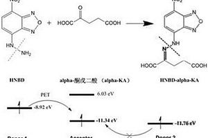 alpha-酮戊二酸的荧光/紫外分子探针的制备方法及其在生物样本中的应用
