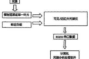 可见和近红外光谱的植物叶片或冠层灰霉病诊断方法与系统