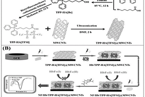 基于羧基功能化膦基离子液体@多壁碳纳米管的血红蛋白生物传感器的制备方法