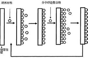 纳米增效的细菌毒素糖基功能化分子印迹柱的制备方法及应用