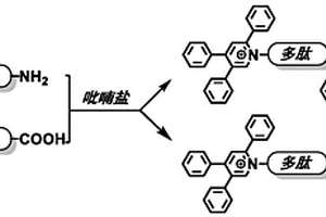 氨基化合物的衍生化方法及其应用