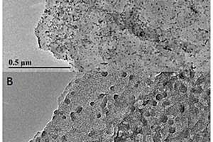 核酸适配体-镍铁氰纳米粒子-RGO电极的制备和应用