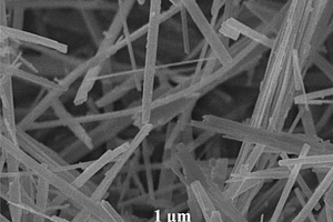 铋掺杂的TiO2纳米线电极的制备方法及其应用