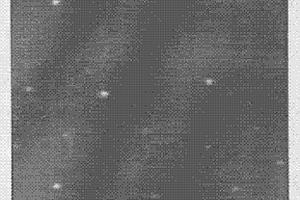 荧光量子点标记的DNA生物探针及其制备方法