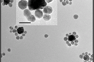 金纳米花-银纳米粒子双金属纳米组装体的藻毒素拉曼传感器的构建