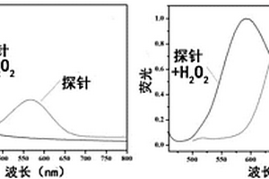 识别过氧化氢的比值型荧光探针的合成与应用