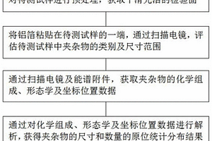钢中夹杂物原位统计分布的表征方法及系统