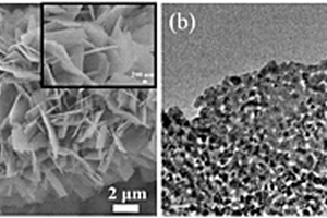 具有高灵敏度的Co<sub>3</sub>O<sub>4</sub>多孔纳米片非酶基葡萄糖传感器及其制备方法