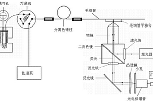 用于硝基多环芳烃的双功能整体柱的制备及高效液相色谱联用方法