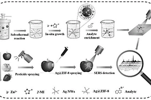 基于Ag@ZIF-8核壳纳米链的表面增强拉曼基底的制备方法及应用