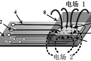 双电场驱动传感器的制备方法及其应用