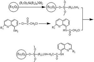 表面功能化Fe3O4纳米粒子及其制备方法和应用