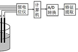 基于多电极传感技术的黄酒酒龄鉴别方法