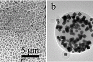 银纳米方块-醋酸纤维素复合微球膜及其制备方法和用途