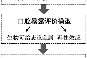 农产品重金属口腔健康风险的评估方法