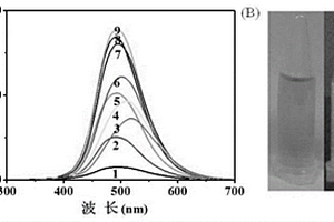 荧光钯纳米簇及其合成方法和应用