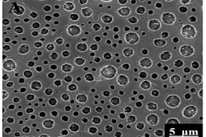 螺二芴基微孔聚合物膜修饰电极的制备及所得产品和应用