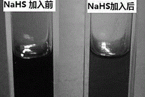 硫化氢分子荧光探针及其制备方法和应用