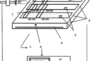 面向空间的微型微流控实时荧光PCR工作系统