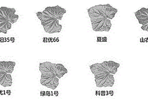 基于叶绿素荧光成像技术快速筛选不同温度敏感型植物的装置和方法